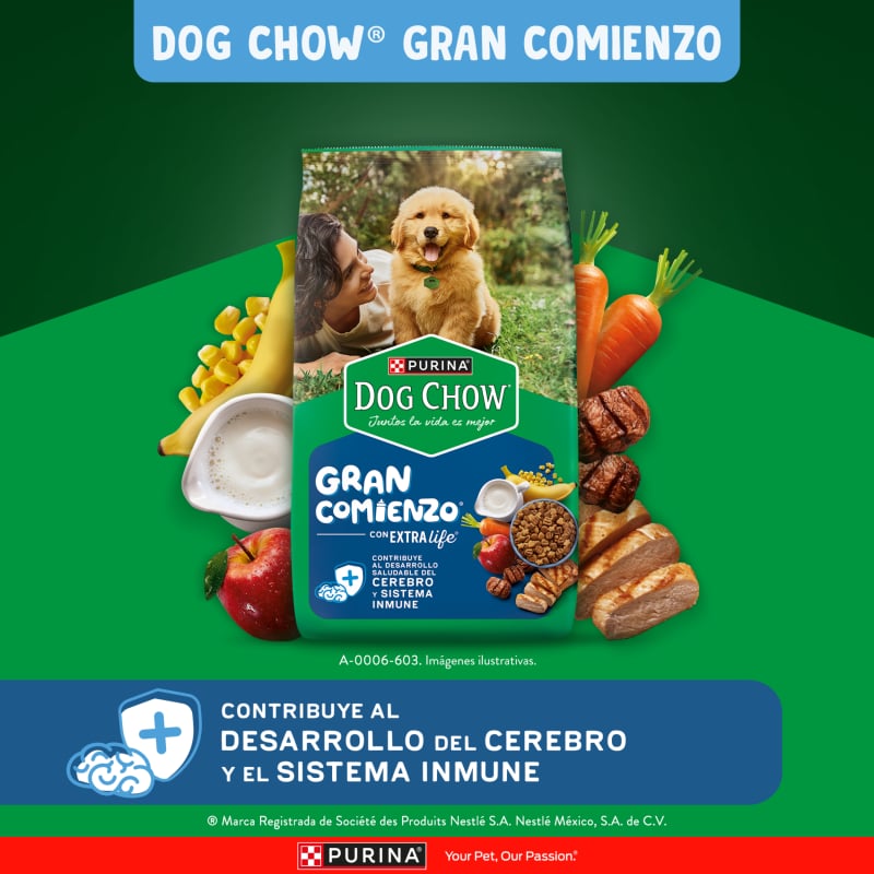 dog-chow-salud-visible-cachorros-medianos-y-grandes