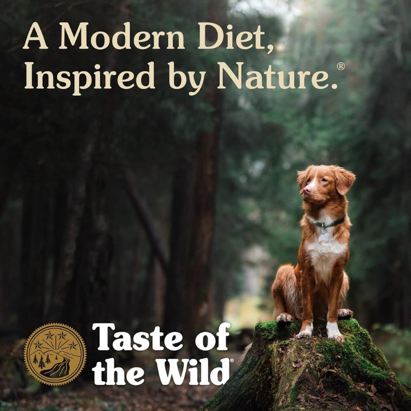 taste-of-the-wild-croquetas-sierra-mountain-canine-cordero-asado