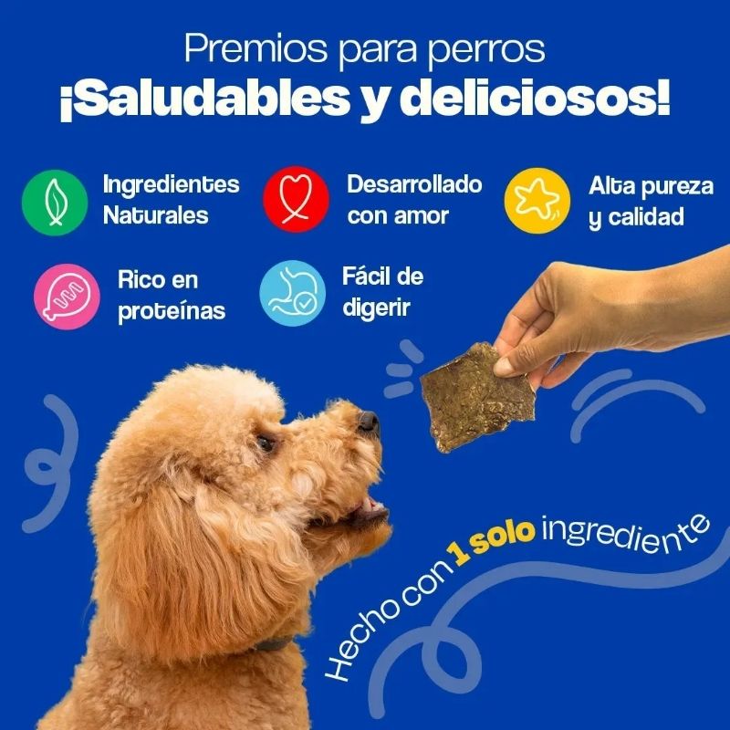 dogelthy-premios-para-perro-pulmon-de-res-deshidratado