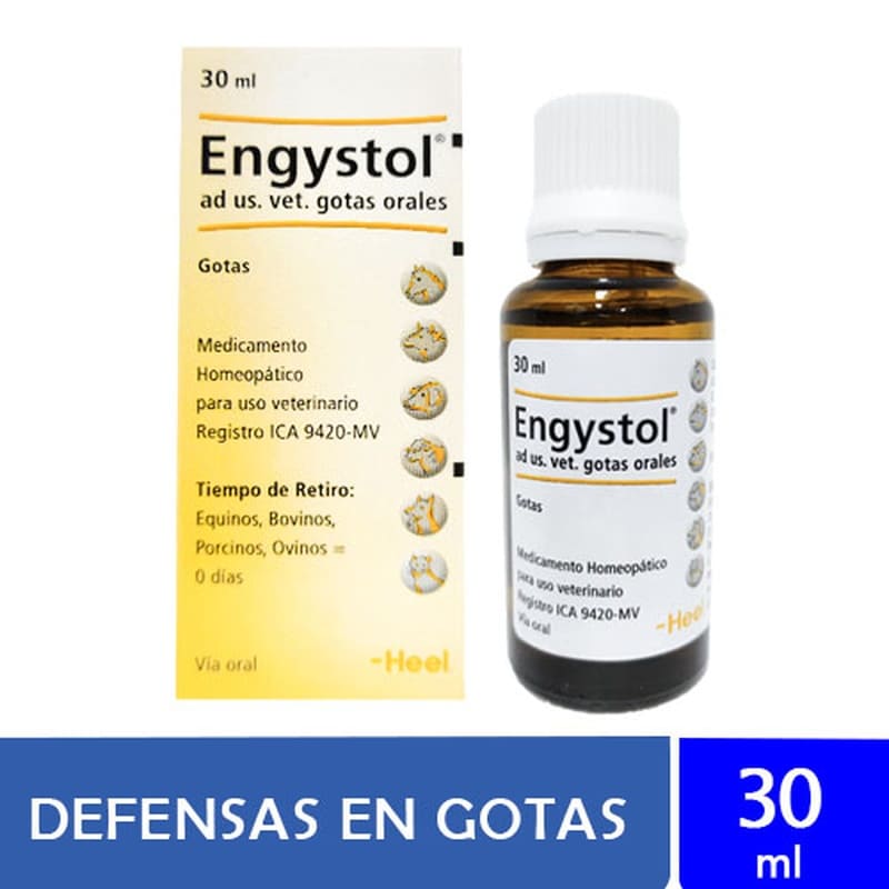 heel-engystol-inmunomodulador-vet-gotas