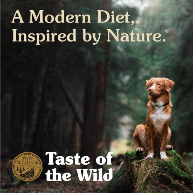 taste-of-the-wild-croquetas-sierra-mountain-canine-cordero-asado