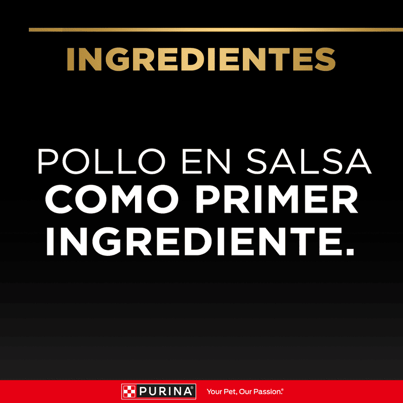 purina-pro-plan-pouch-kitten-wet-pollo