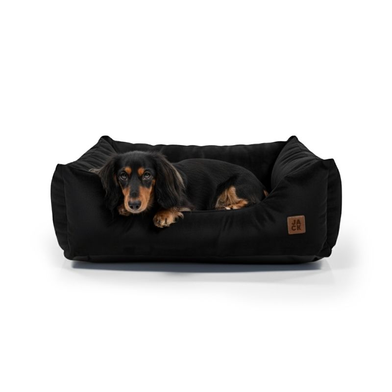 JACK PET - Cama Winter Negro para Perro