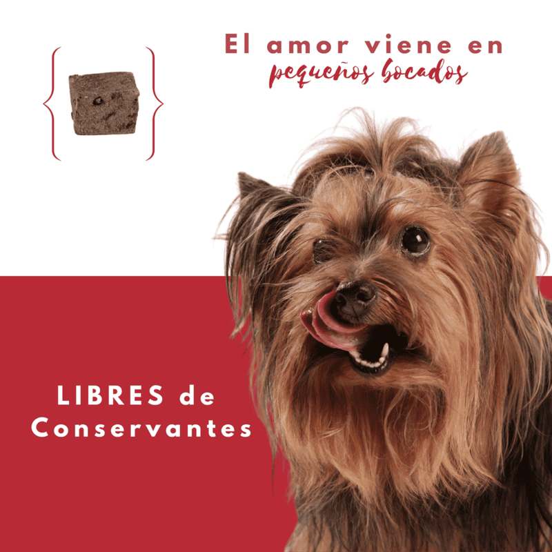 petmeal-natural-snacks-beef-liver