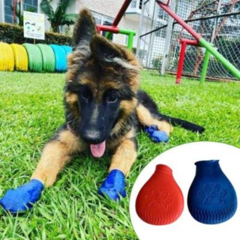 Flipsdogs - Flips Dogs Zapatos Para Perro