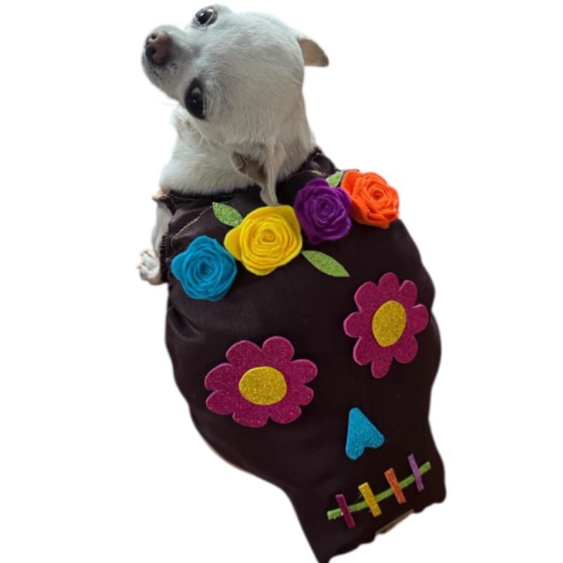 Perrina - Disfraz Calaverita de Chocolate