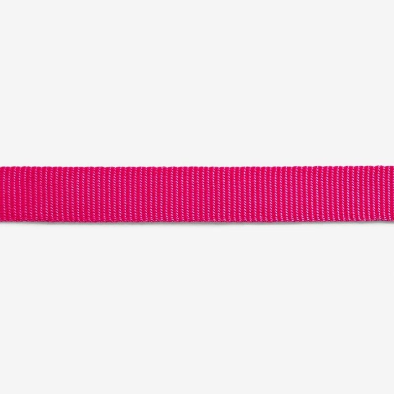 zeedog-collar-para-gato-modelo-pink-led