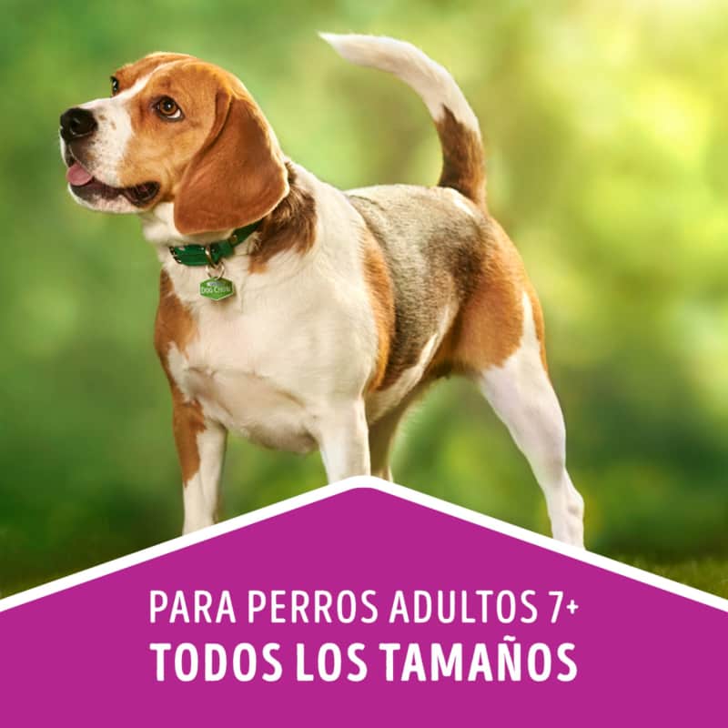 dog-chow-longevidad-adultos-7