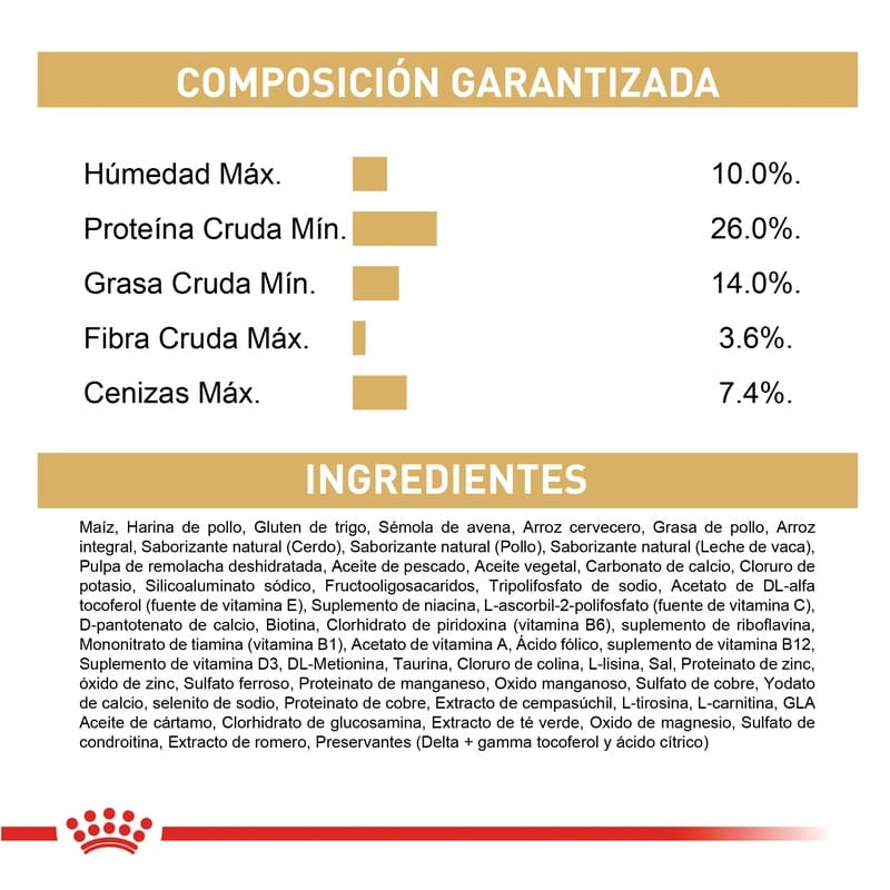 royal-canin-chihuahua-adulto