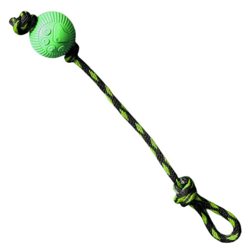 paw-day-pelota-lazo-mediana