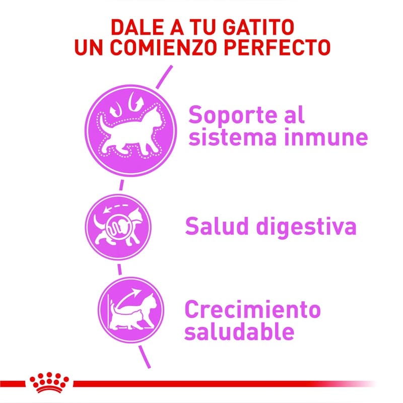 royal-canin-fhn-kitten