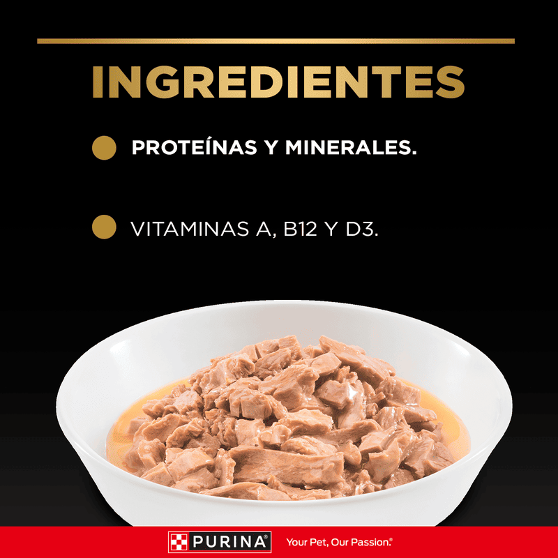 purina-pro-plan-pouch-kitten-wet-pollo
