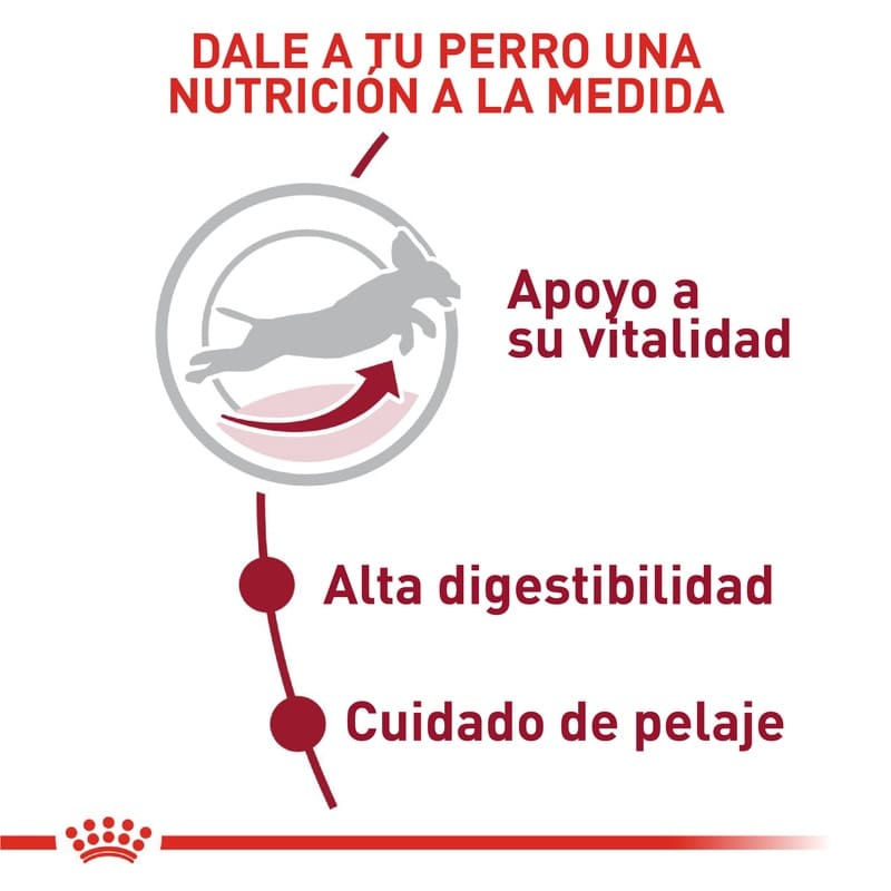 royal-canin-medium-adult-7