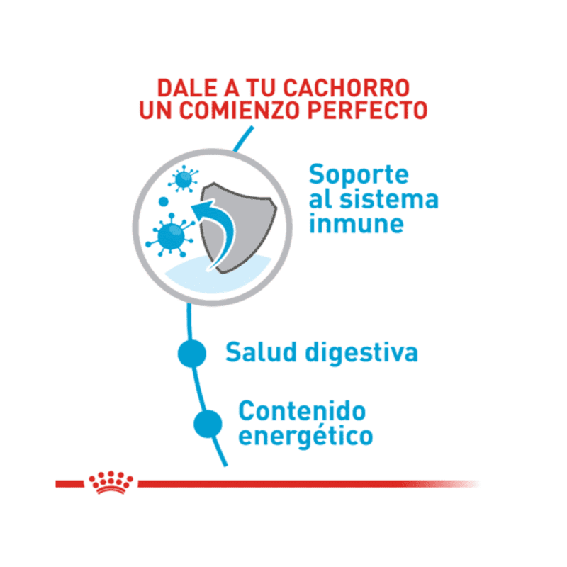 royal-canin-mini-puppy