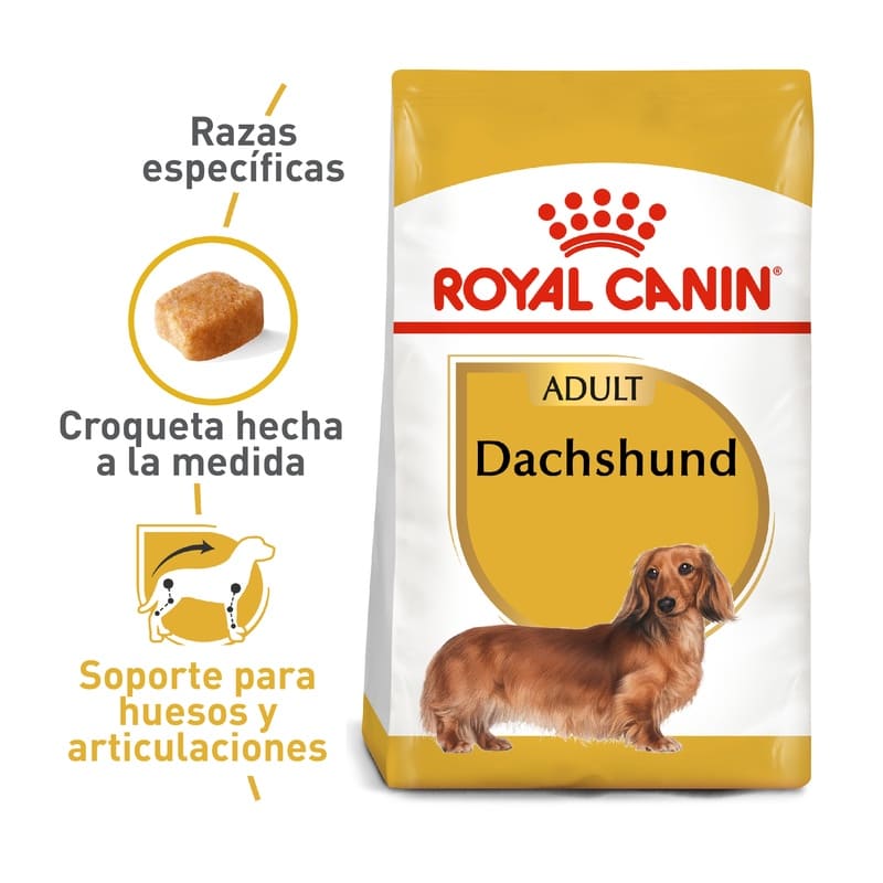 royal-canin-dachshund