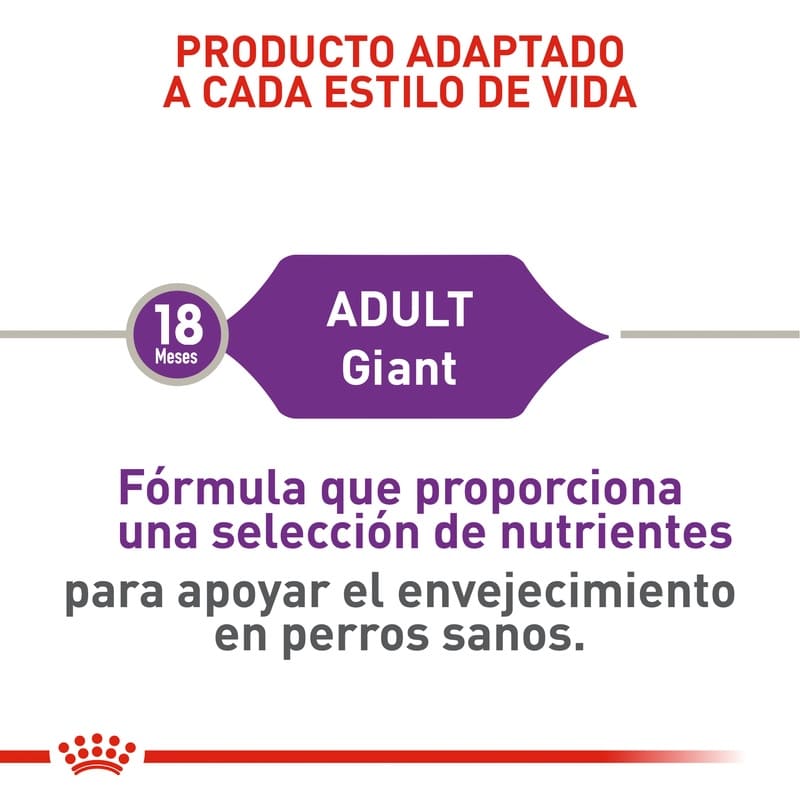 royal-canin-giant-adult