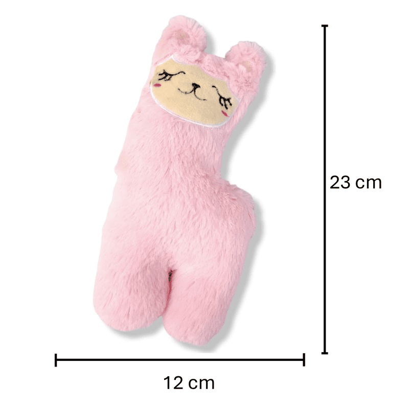paw-day-alpaca