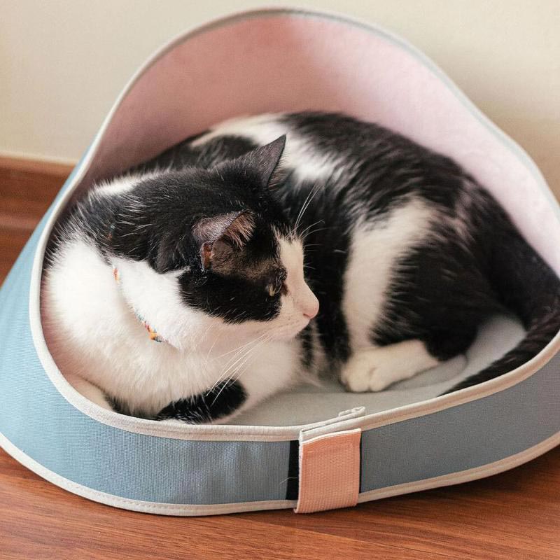 zee-cat-bed