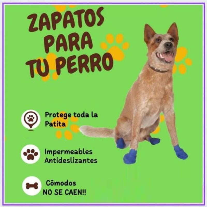 flipsdogs-flips-dogs-zapatos-para-perro