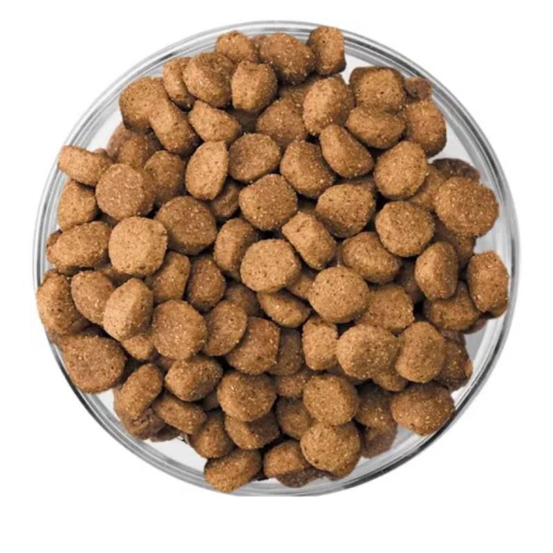eukanuba-alimento-seco-para-cachorro-grande-receta-pollo