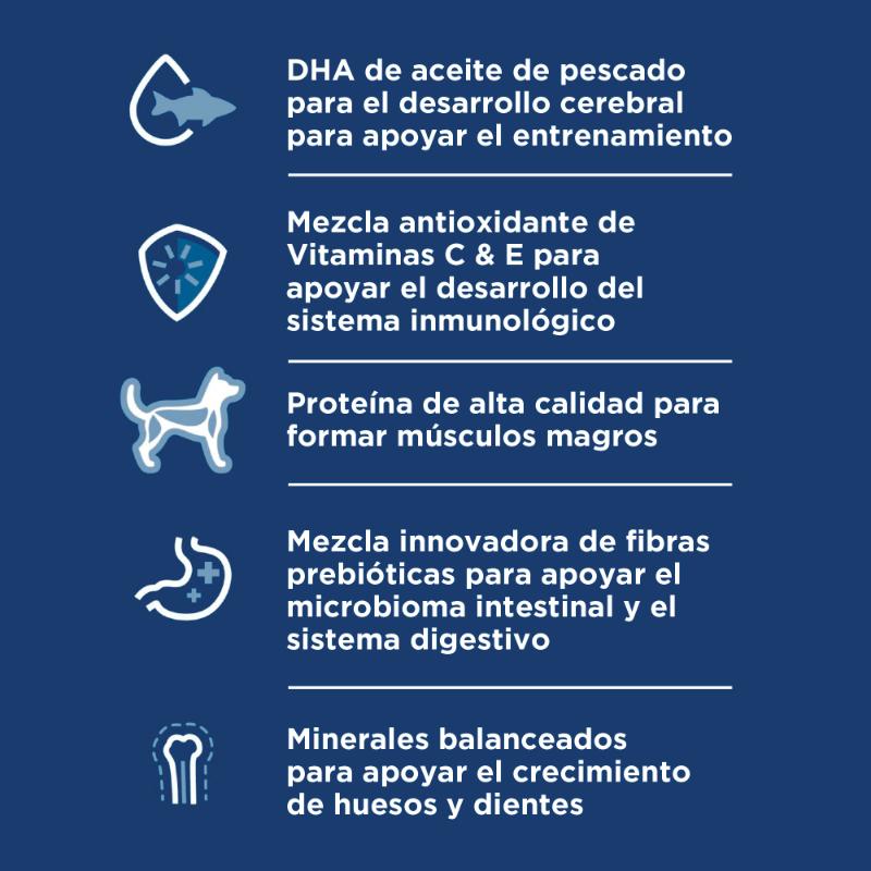 hills-science-diet-puppy-small-paws-dog