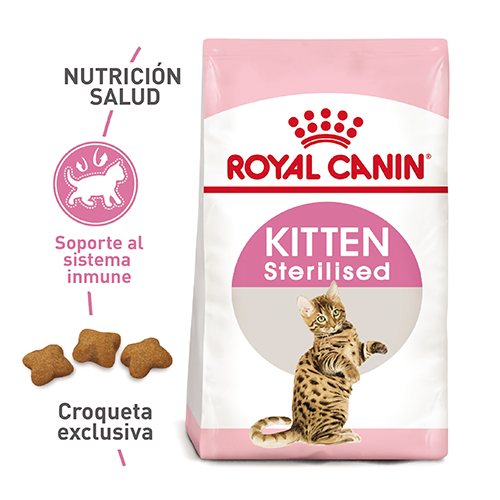 second age kitten sterilised